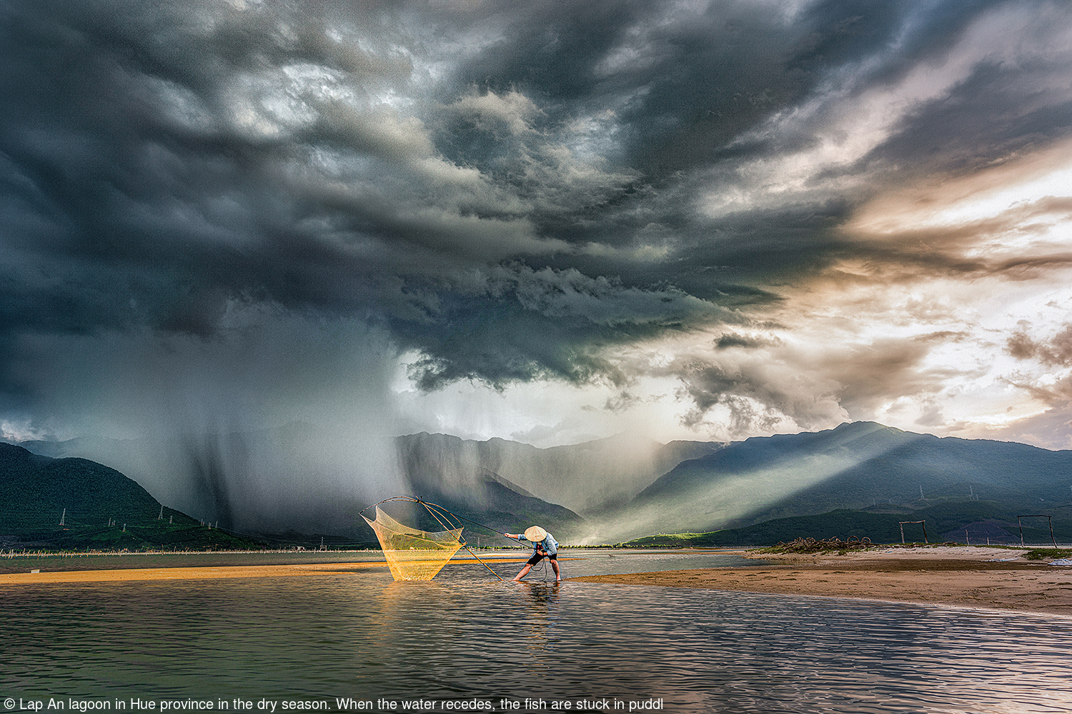 Названы победители ежегодной премии Pink Lady® Food Photographer of the Year - фотография № 2