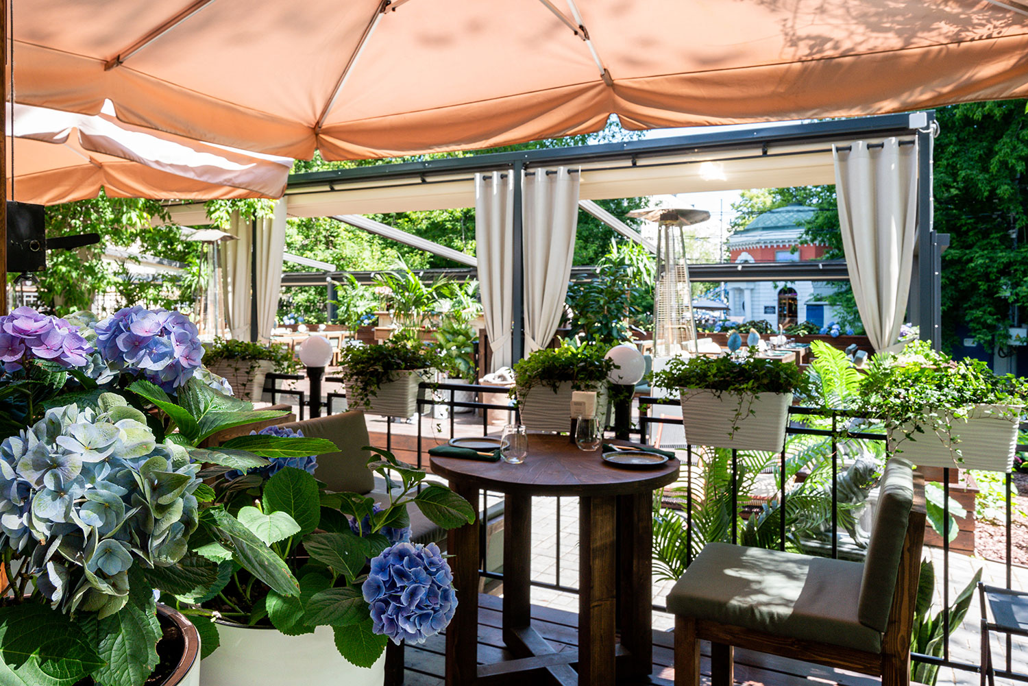 Летний арт-бранч - фотография № 2