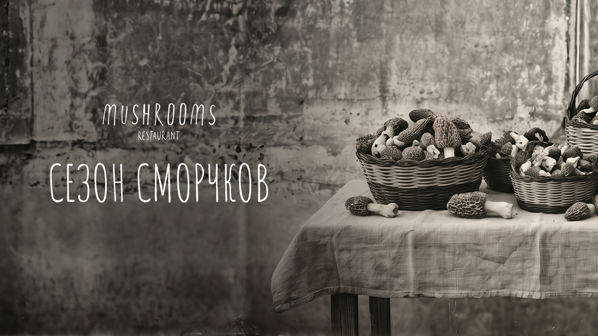 Сезон сморчков в «Машрумс» - фотография № 1