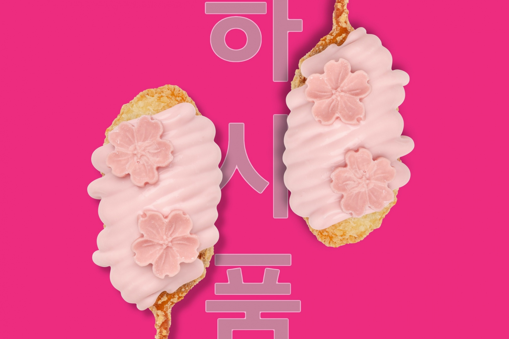 Потккот. В корейском бистро KOOK расцветает сакура - фотография № 3