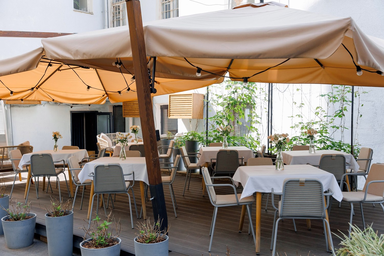 7 лет! Шалом, Blush! - фотография № 7