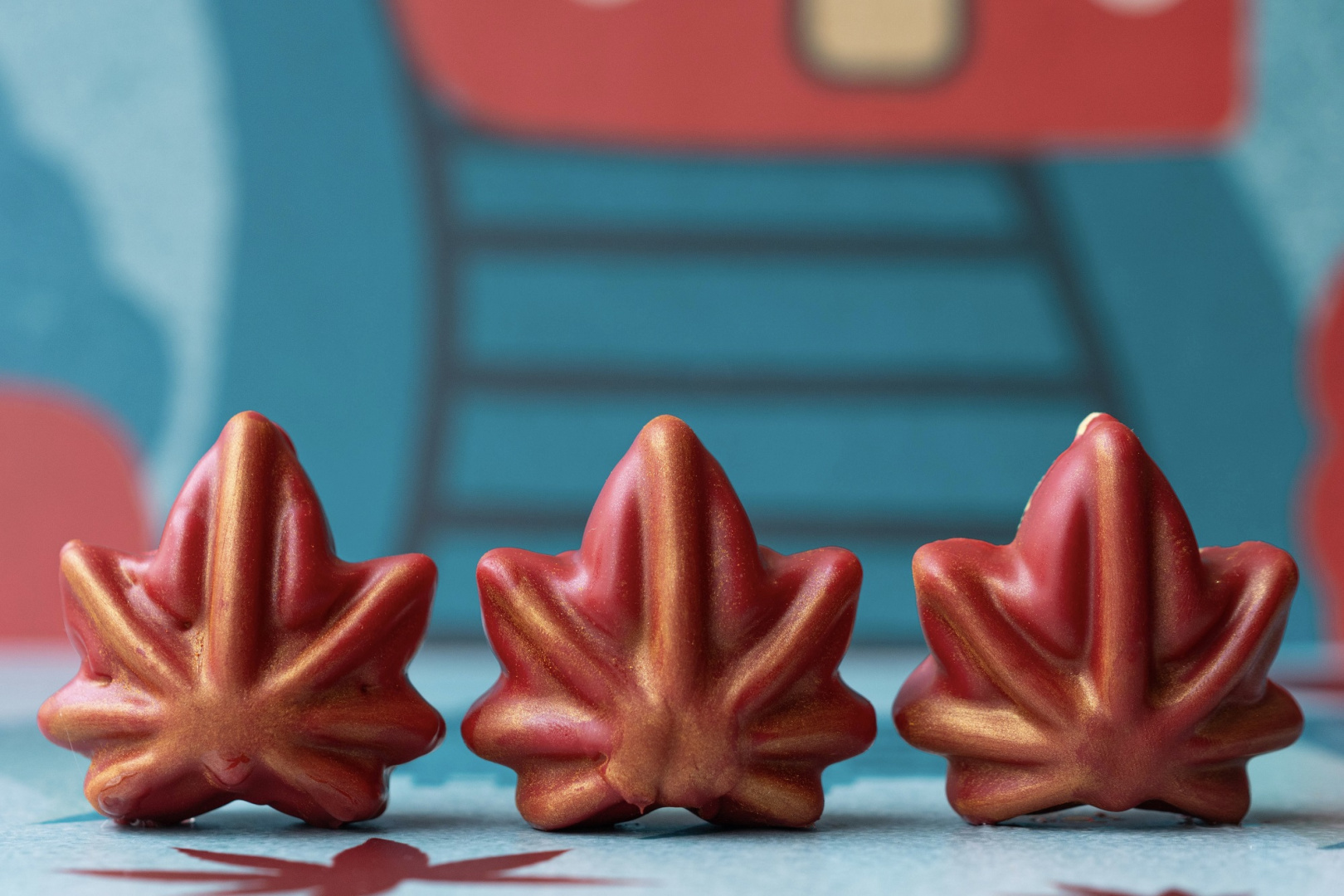 Фестиваль Момидзи в J’PAN - фотография № 4