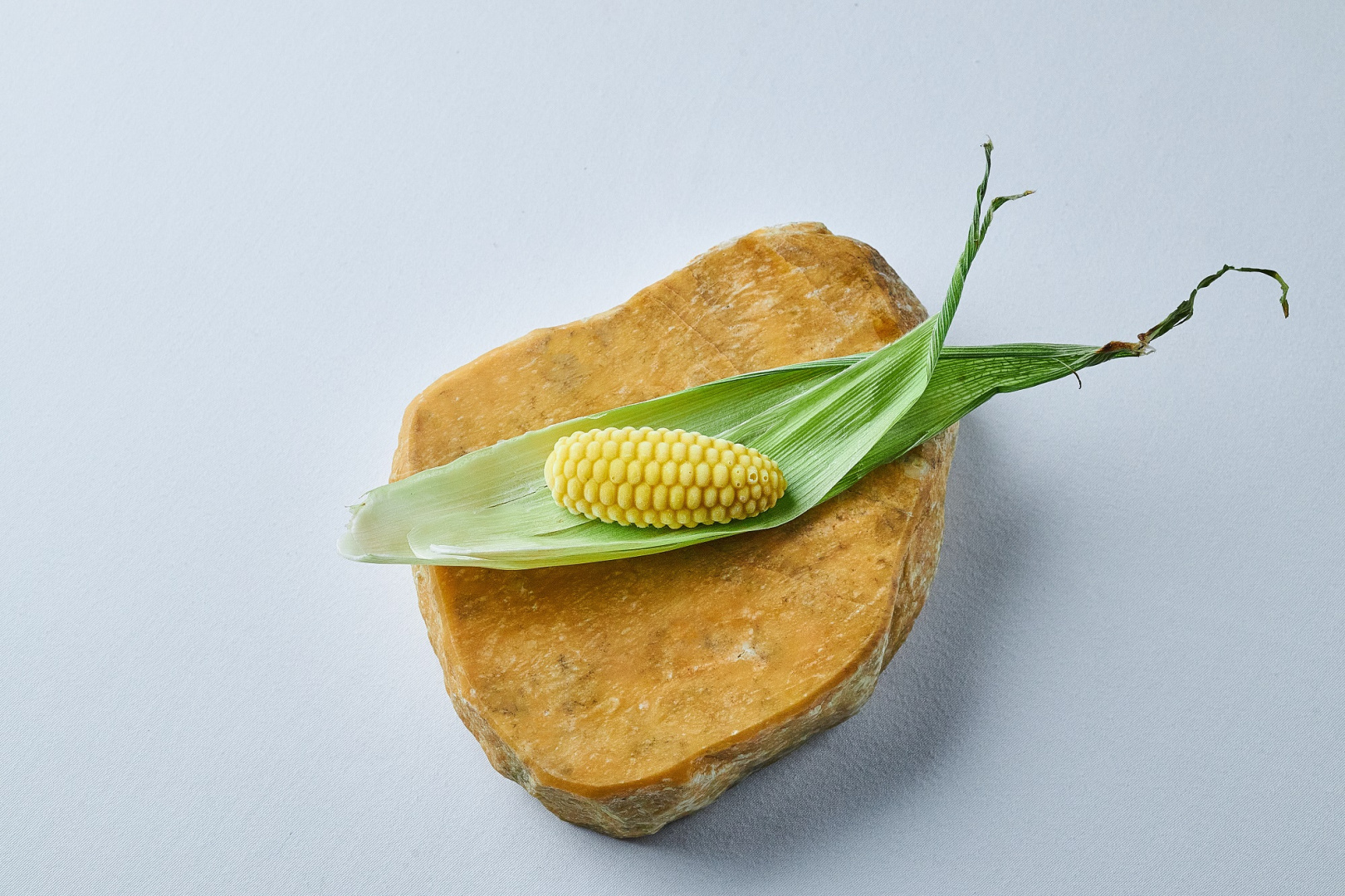 Ужин «Голод и изобилие» - фотография № 4