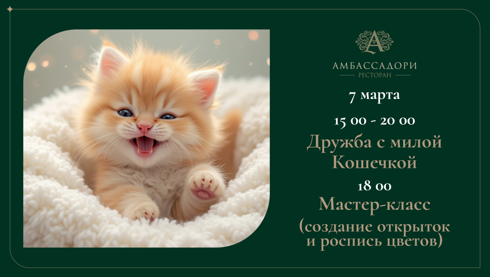 Дружба с милой кошечкой - фотография № 1