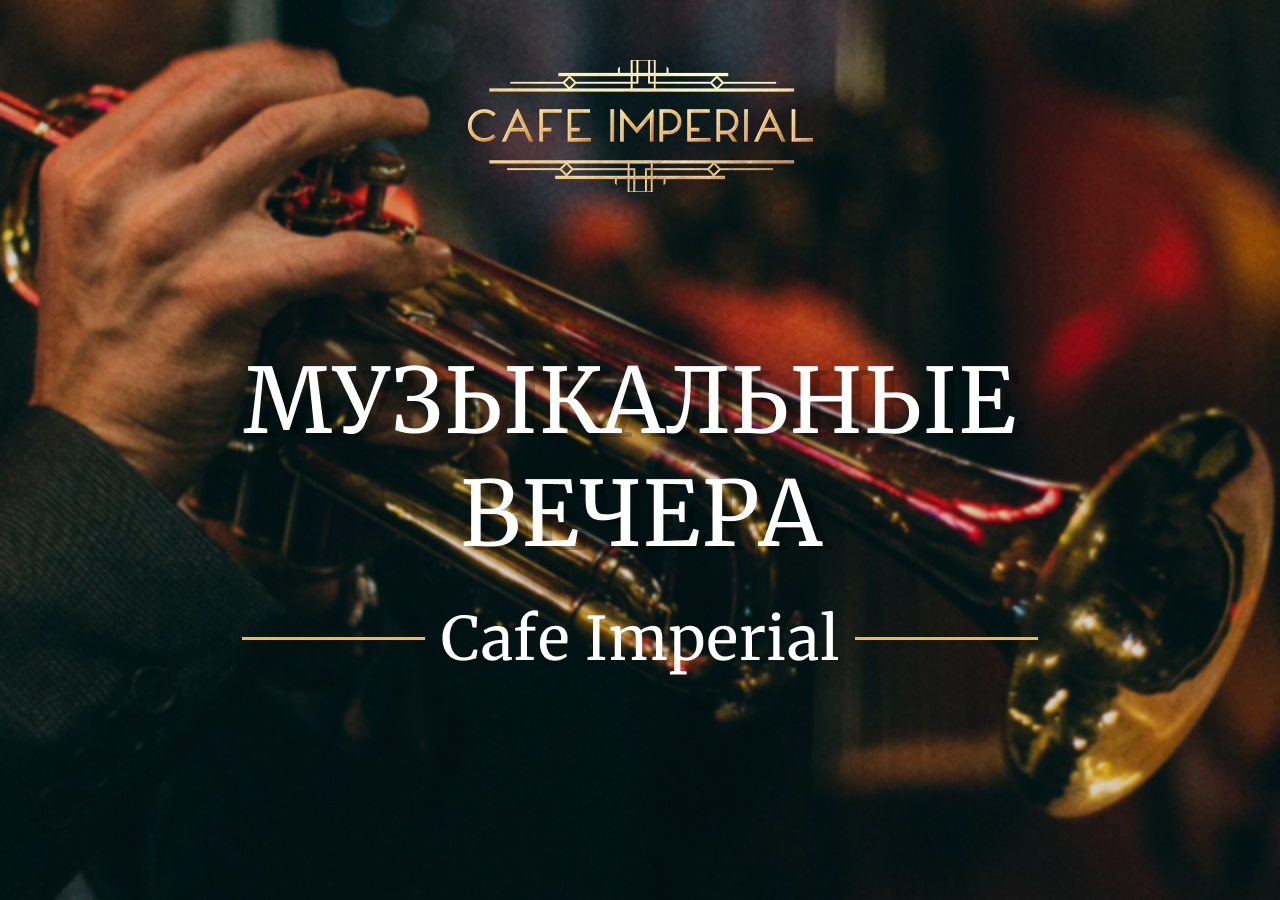 Музыкальный вечер - фотография № 1