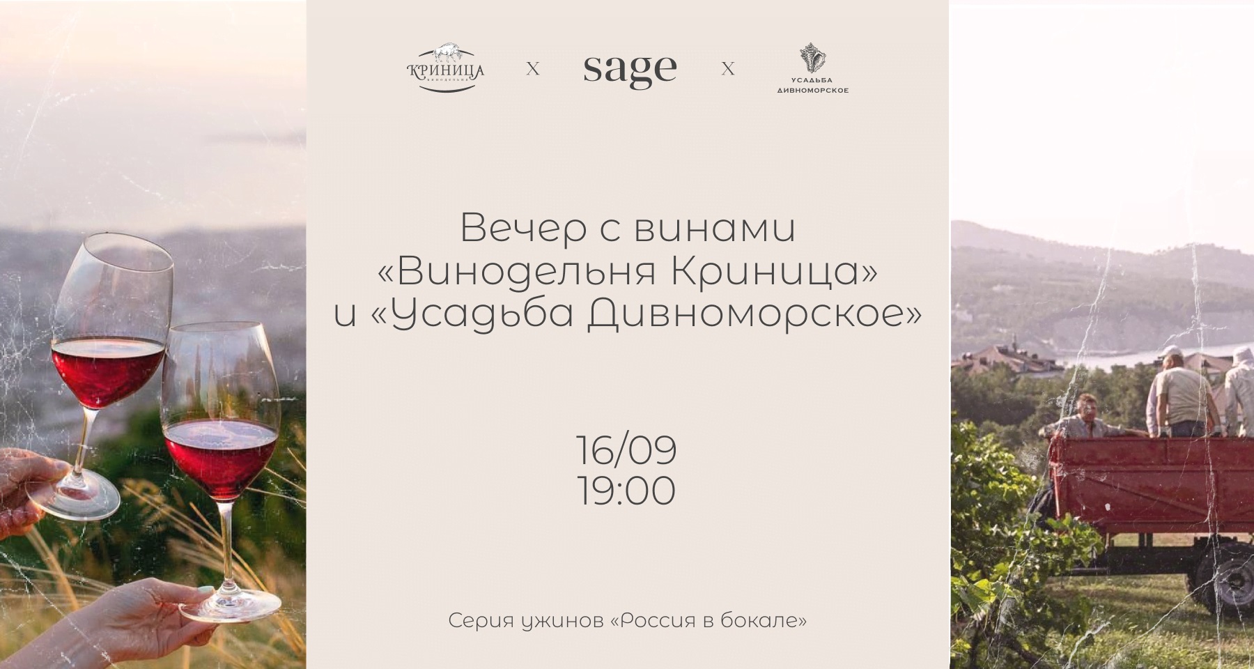 Винный ужин - фотография № 1