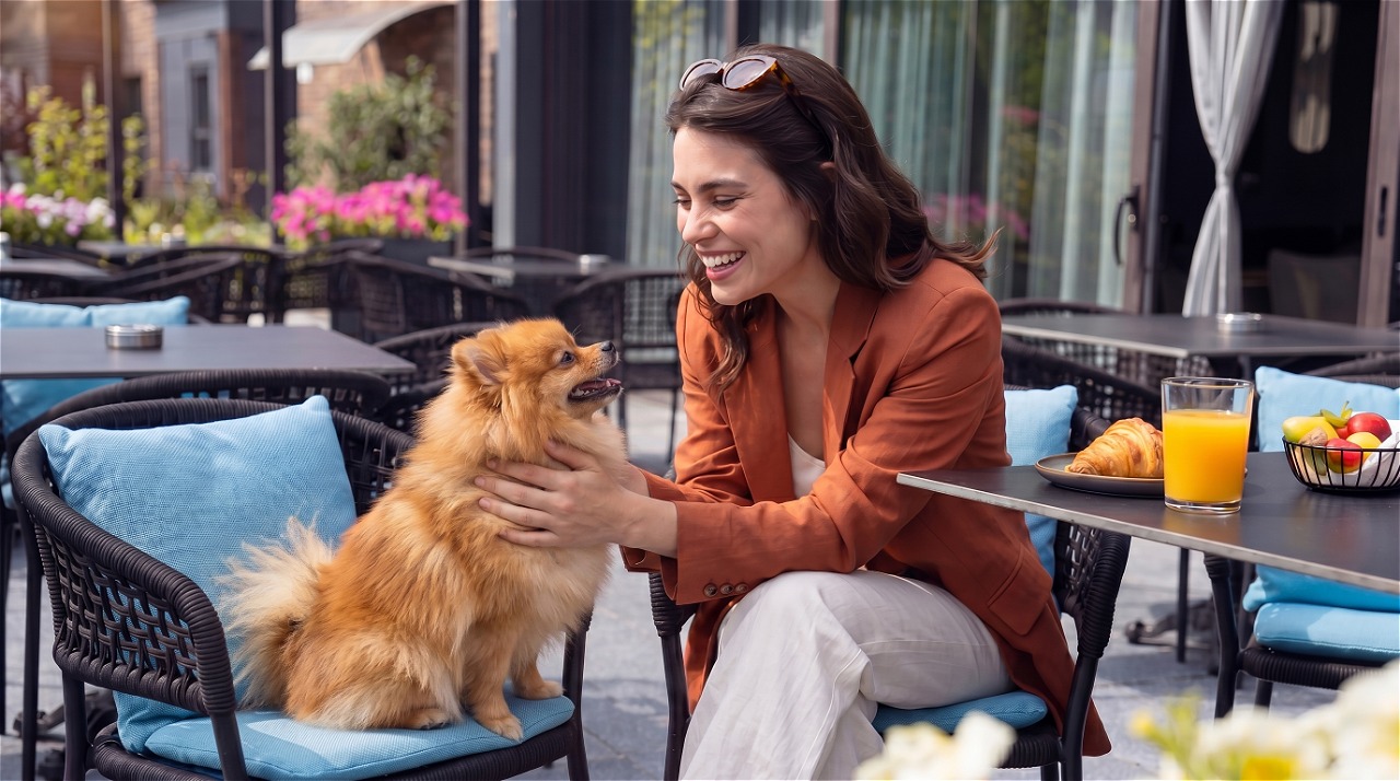 Артиленд / Artiland