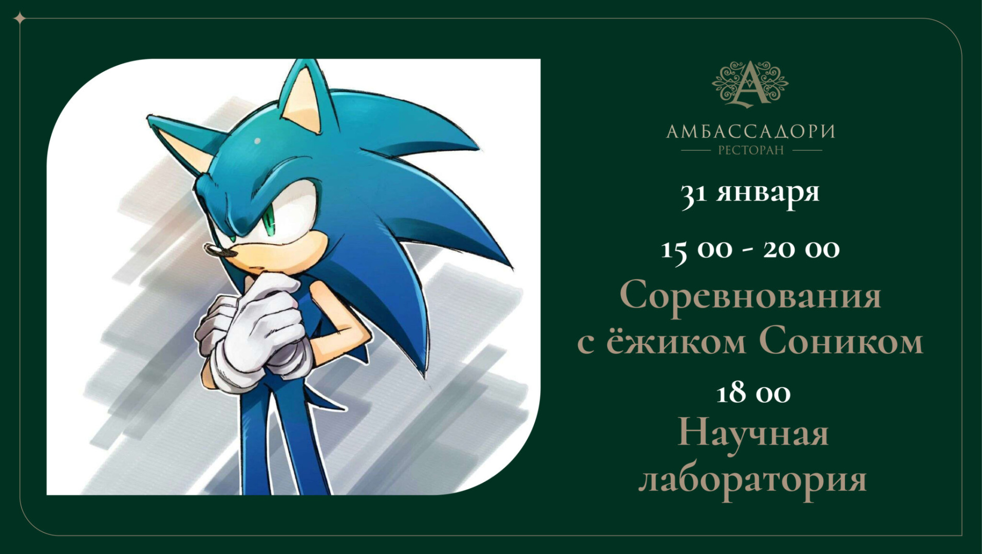 Соревнования с ёжиком Сонником - фотография № 1