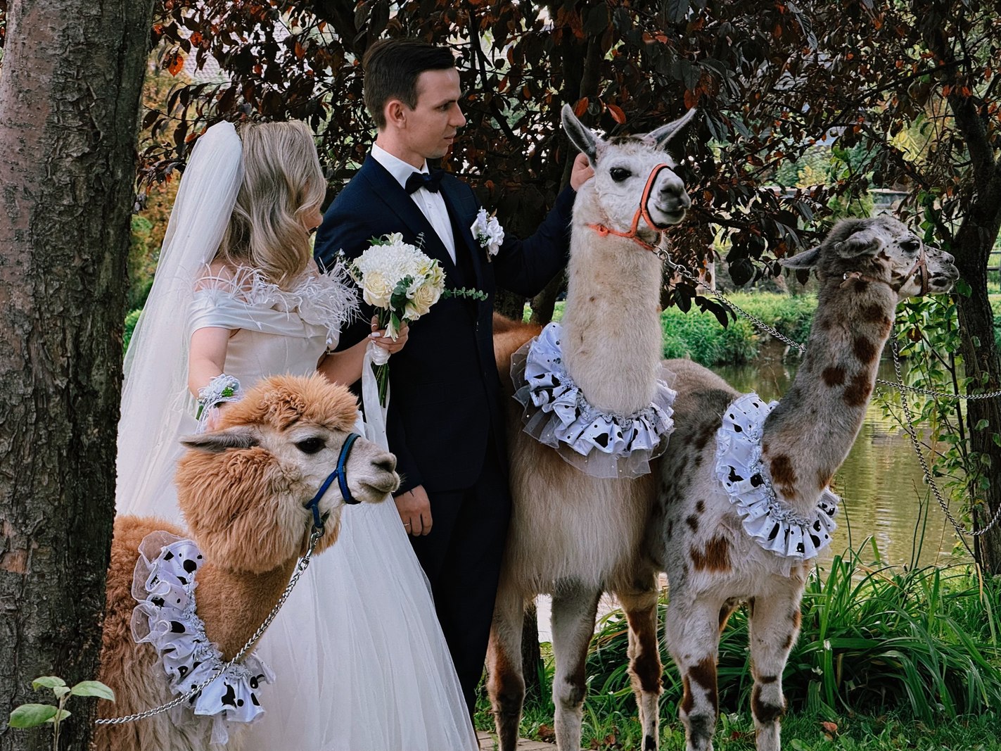 Внуково Вилладж