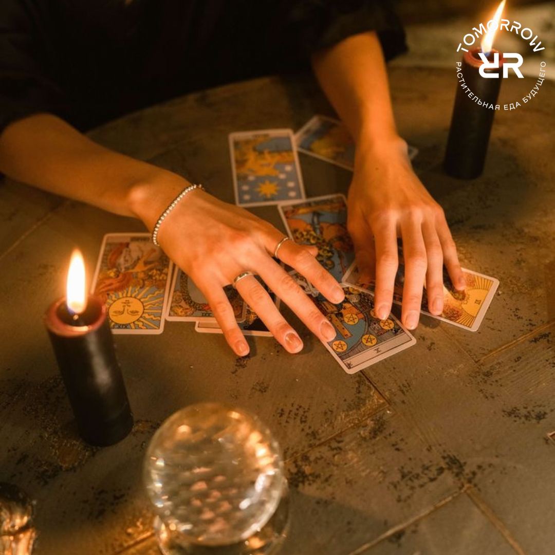 Встреча с астрологом и тарологом - фотография № 1