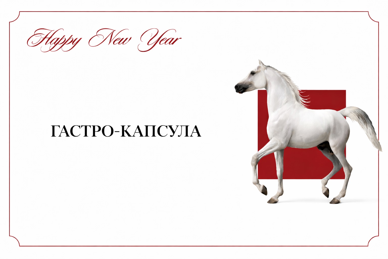 Специальное новогоднее предложение от AgalarovRest - фотография № 1