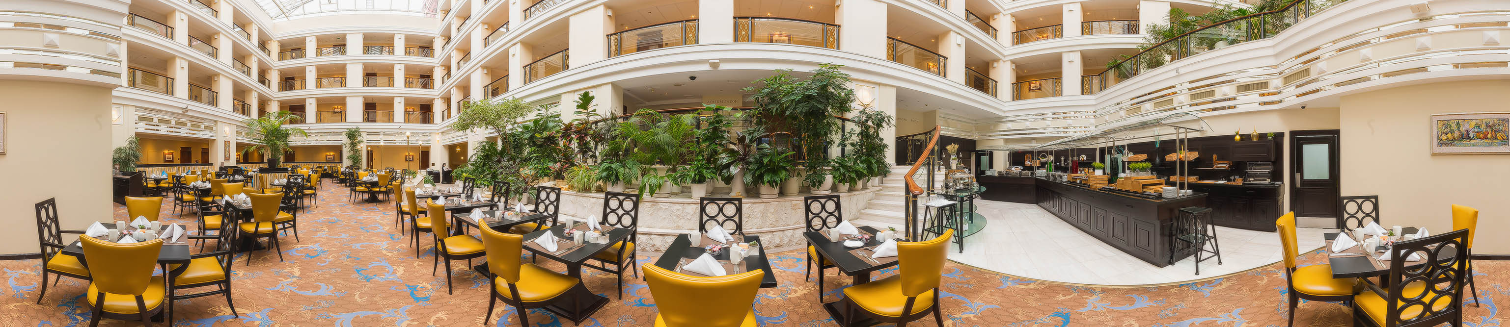 Лобби-бар отеля Аврора панорама 2