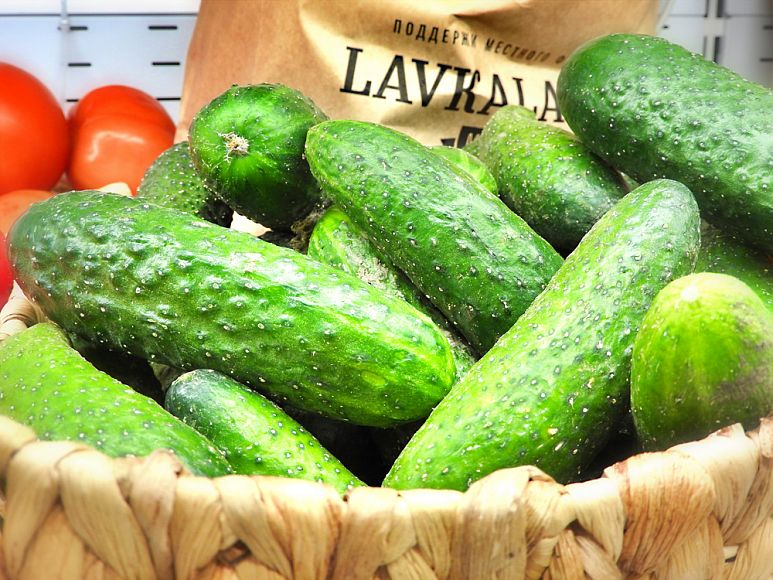 LavkaLavka вернулась на Патрики!