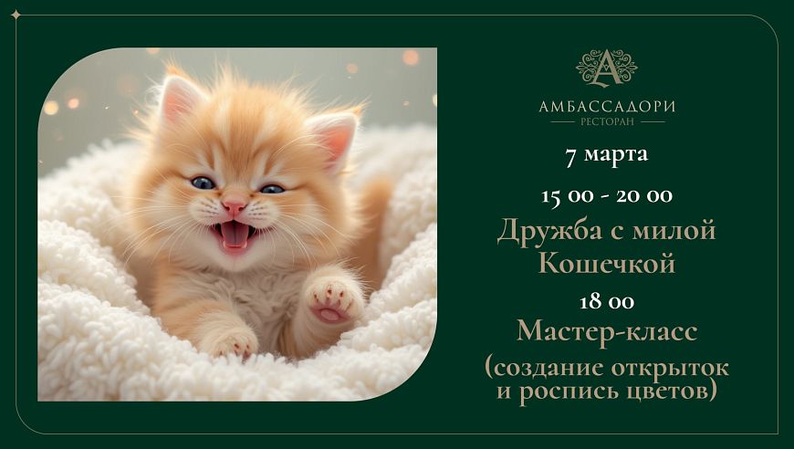 Дружба с милой кошечкой