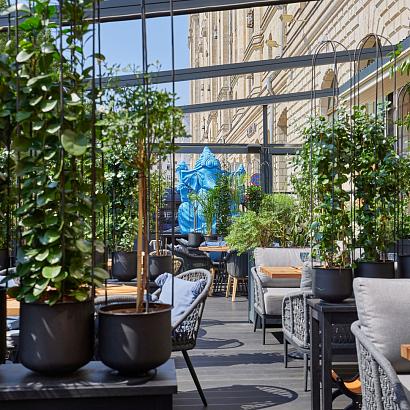 Фото Black Thai / Блэк Тай