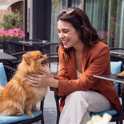 Фото Артиленд / Artiland