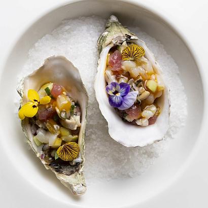 Фото Кранцлер