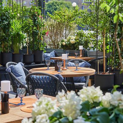 Фото Black Thai / Блэк Тай