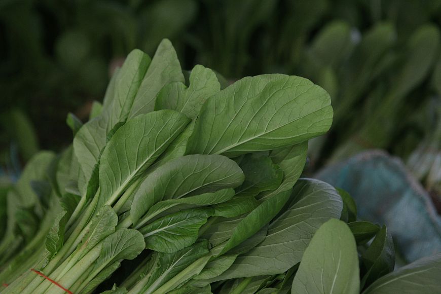6 продуктов, которые помогут предотвратить запах тела летом