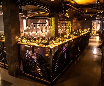 Зелёная собака