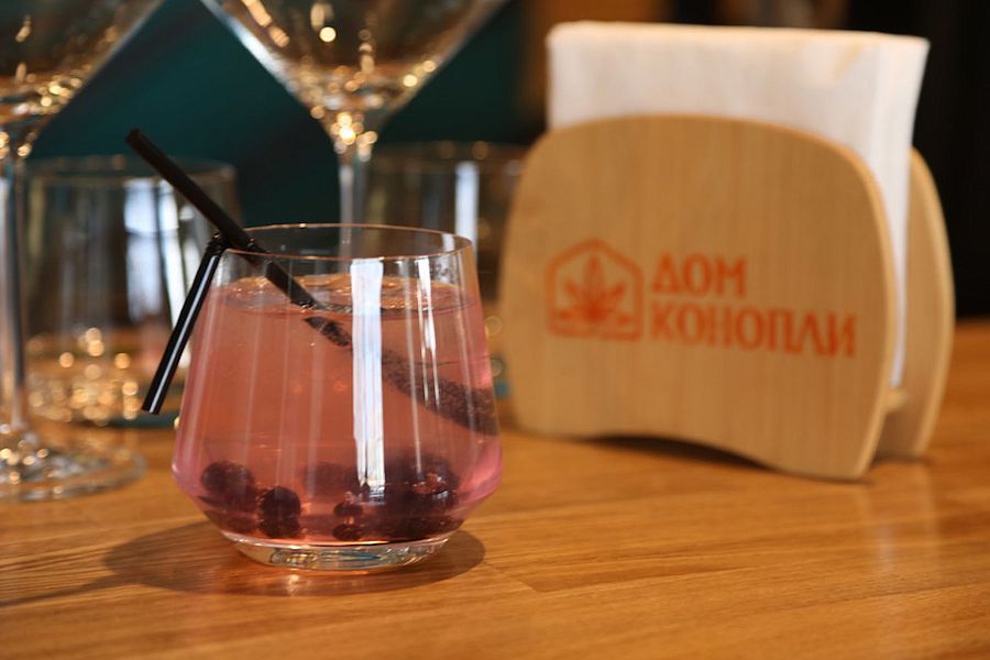 Дом конопли - фотография № 4