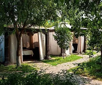 Жемчужина Востока (закрыт)