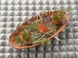 Уральский Kitchen: шаньга и десерт из шишки