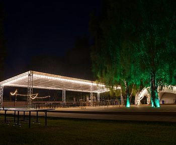 Берёзы парк