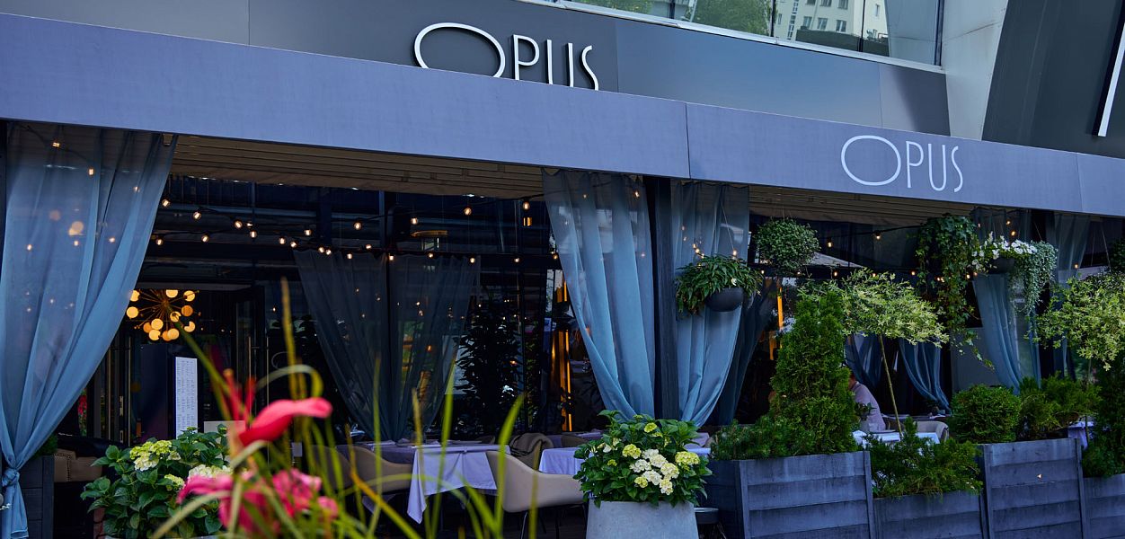 OPUS (закрыт) - фотография № 34