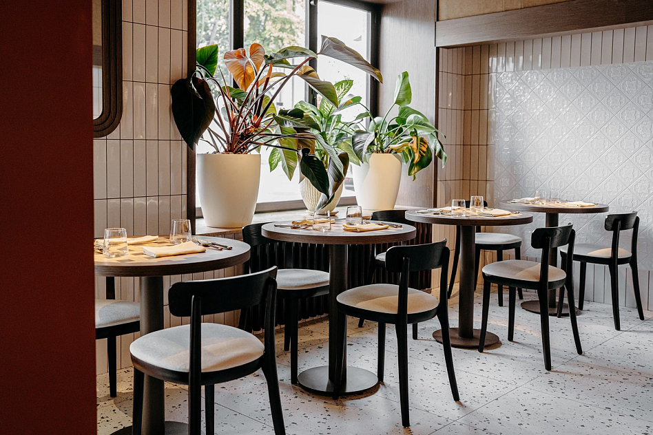 Avero mio - фотография № 9