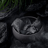 MANUL фото меню 3