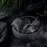 MANUL фото меню 3