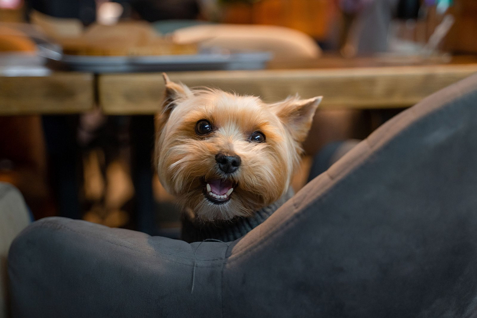 Рынок на Ленинском - фотография № 7