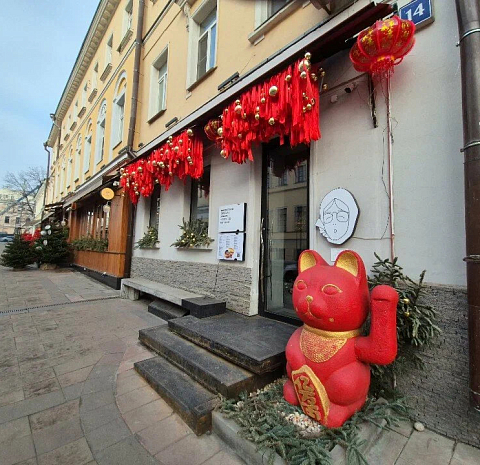 Моя рьяnaya babyшка летит V cingaпур