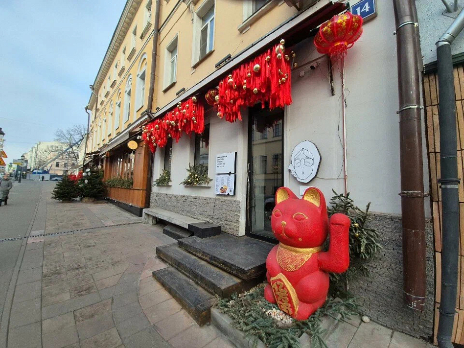 Моя рьяnaya babyшка летит V cingaпур - фотография № 1