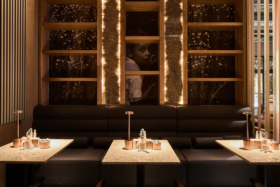 Everest Mansion - фотография № 4