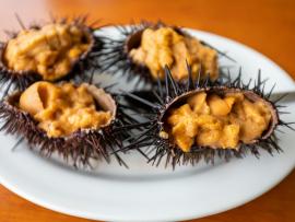 Фестиваль морских ежей в Blush