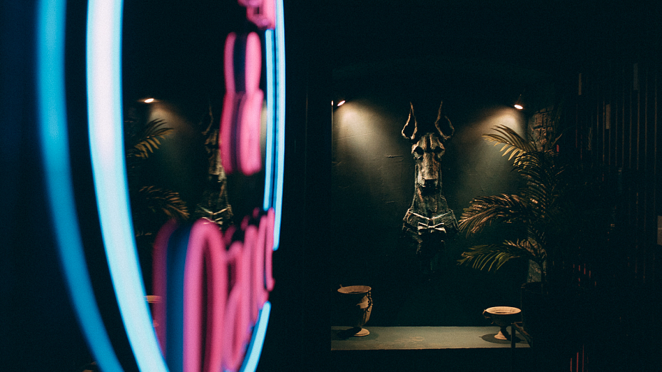 Зелёная собака - фотография № 6