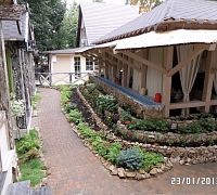 Гранатовый сад в Красногорске фото 7