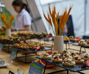 Берёзы парк