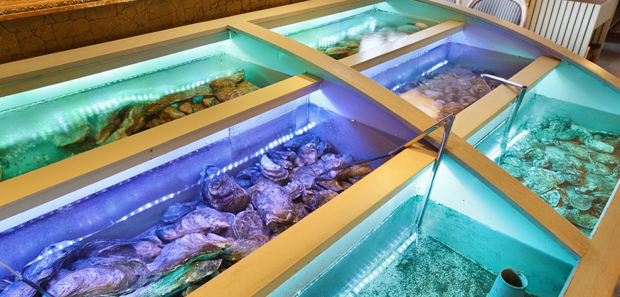 Gastronomica Fish / Гастрономика Фиш (закрыт) - фотография № 15