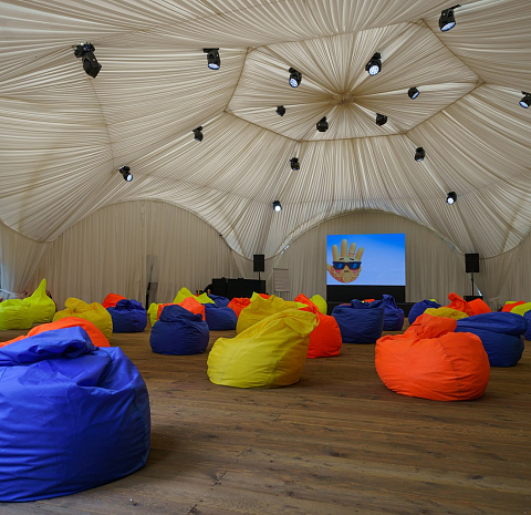 Берёзы парк