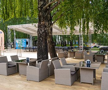 Берёзы парк