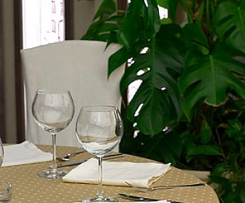 Сава (закрыт)