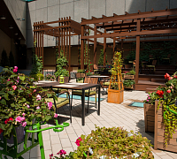 Terrace Plaza Garden Cafe фото 3