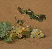 Российские вина. Большие и малые хозяйства