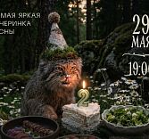 Такие котики