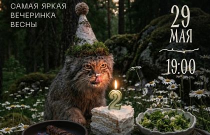Такие котики