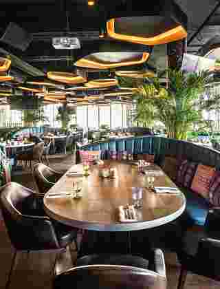 Eshak eshak yuzta xotik