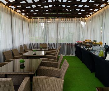 Берёзы парк